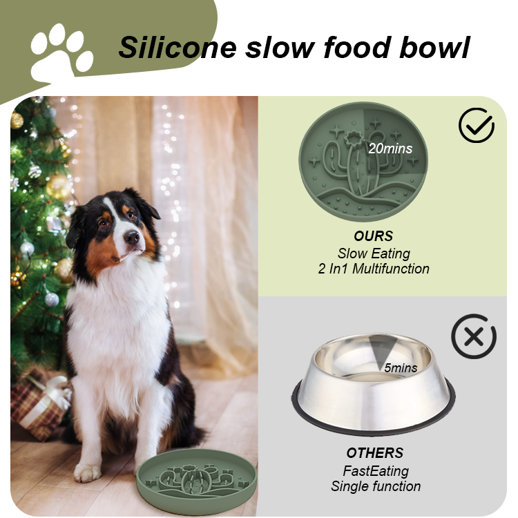 Cuctus Slow Feeder Bowl 3