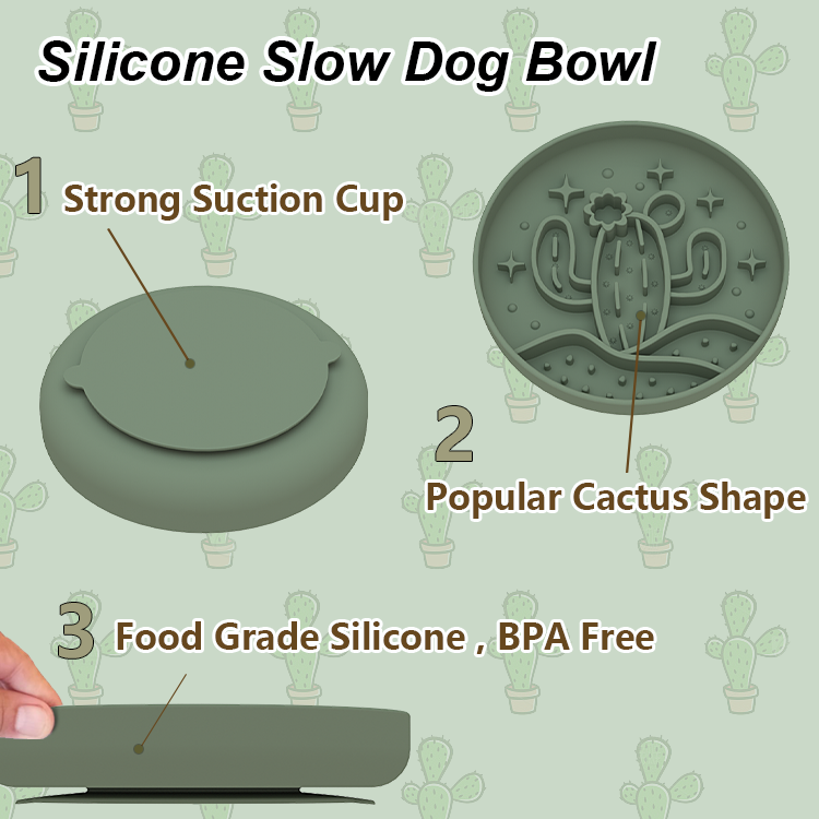 Cuctus Slow Feeder Bowl 4